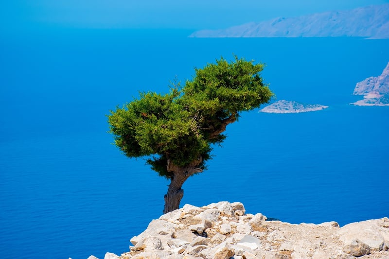 Island Escapes