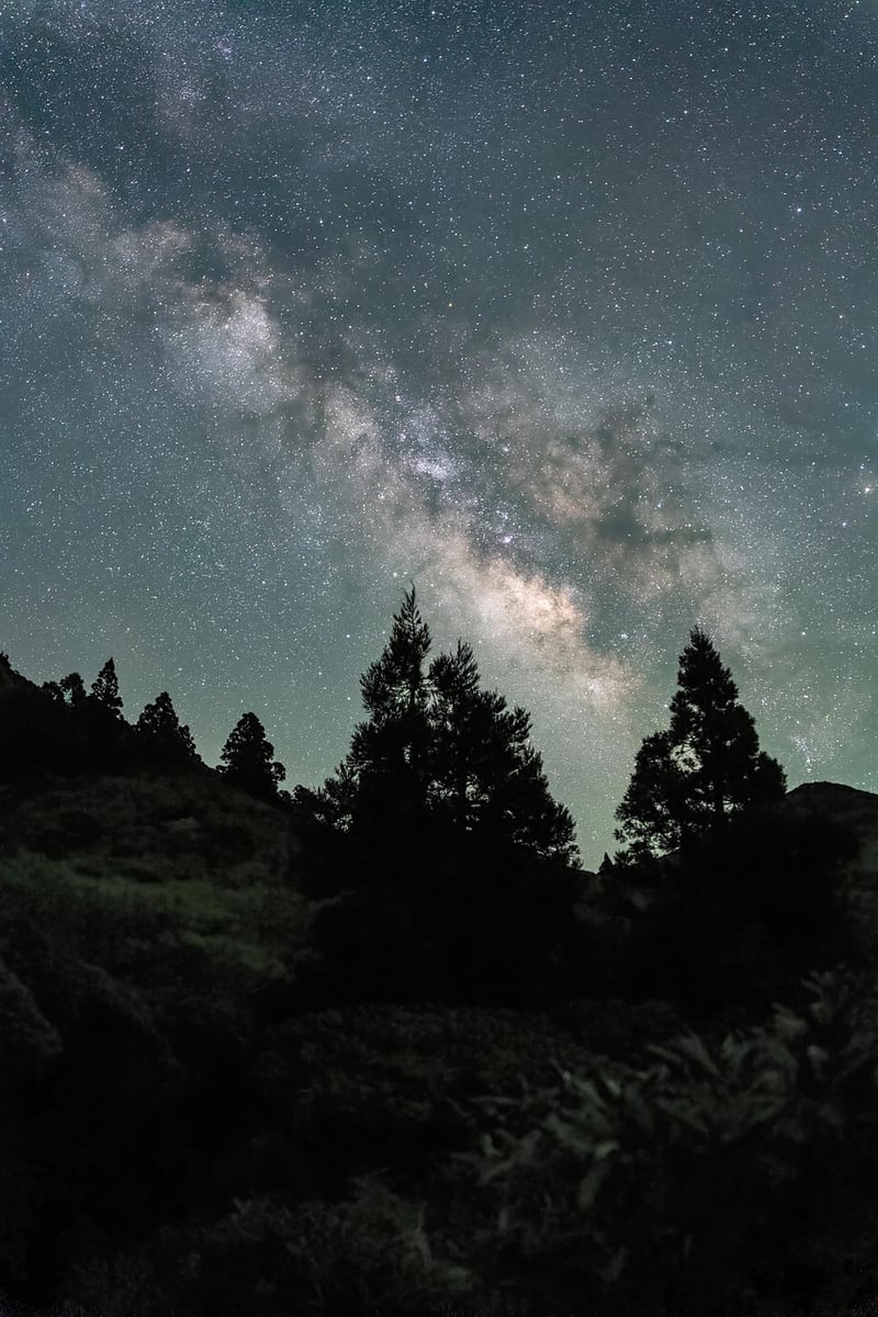 Milky Way over the jungle